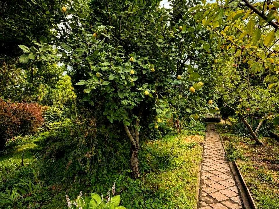 Будинок. Дніпро, Рибінська вул.