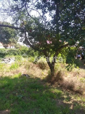 Участок 6 соток в районе улицы Долгой