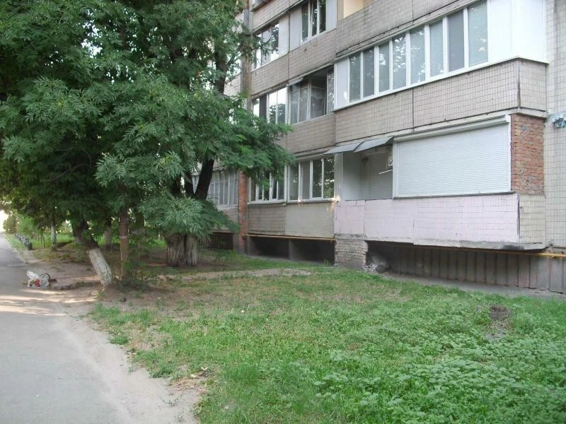 2-room apartment for sale 52.3 m², Burmystenka St., 12