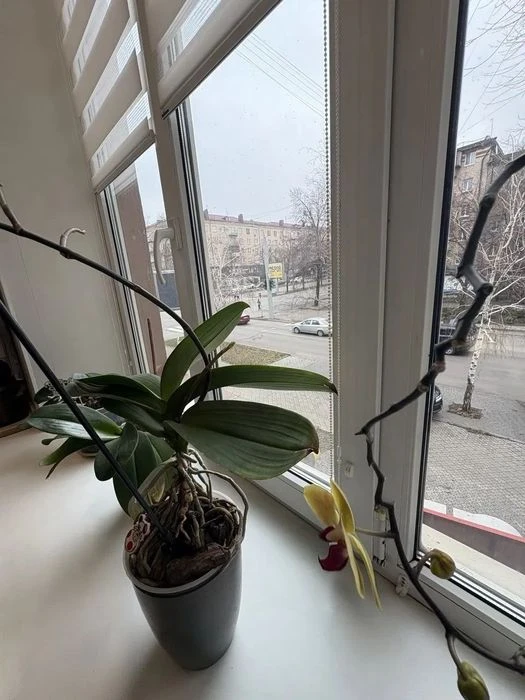 Продам 2х ком. полнометражную квартиру (Сталинка) в центре,