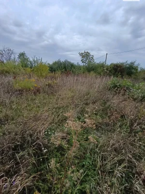 Продаж Ділянка під житлову забудову Нива дачний масив
