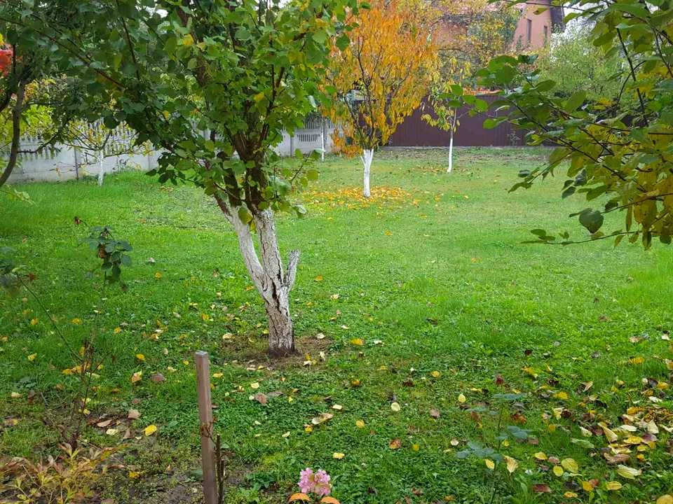 Будинок. Київ, Богатирська вул.