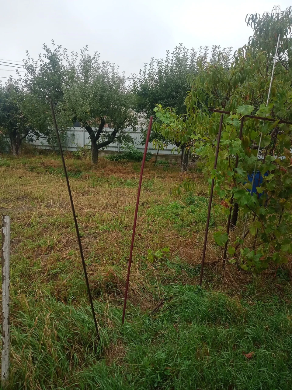 Продаж Дім Бучми