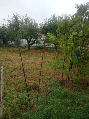 Продаж Дім Бучми