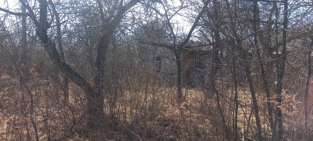 Продам дачу сади Мічуріна