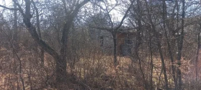 Продам дачу сади Мічуріна
