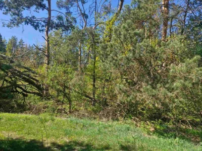 Продаж земельної ділянки 11,7 сот. на Богунії.(26105874)