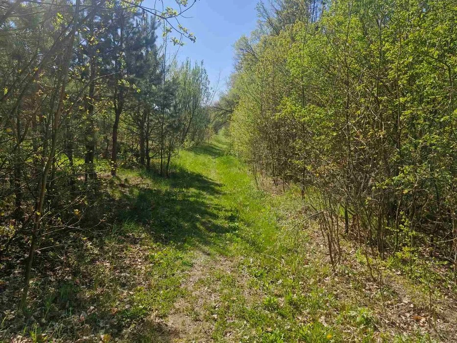 Продаж земельної ділянки 11,7 сот. на Богунії.(26105874)