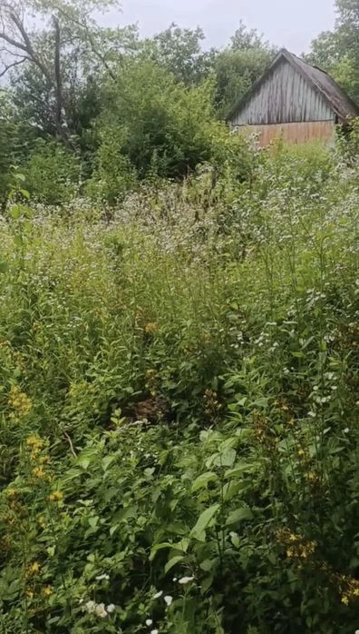 Продаж земельної ділянки