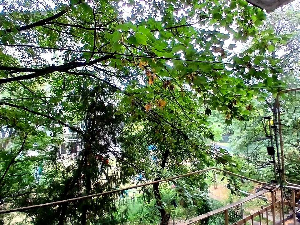 Квартира. Львів, Природна вул.
