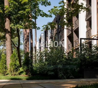 Без %. 1-кімнатна квартира в ЖК Forest Park, 41 м² – соснова