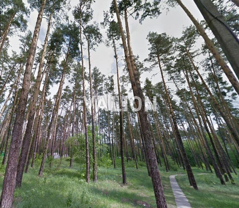 Без %. 1-кімнатна квартира в ЖК Forest Park, 41 м² – соснова