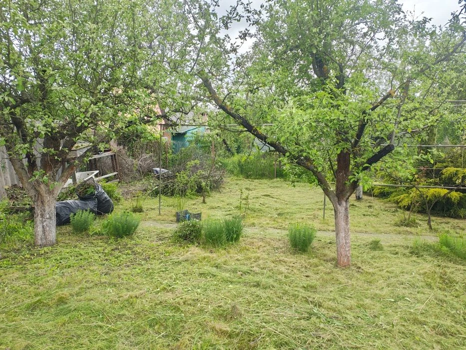 Продам дачу на Ромашковій(Затишний)
