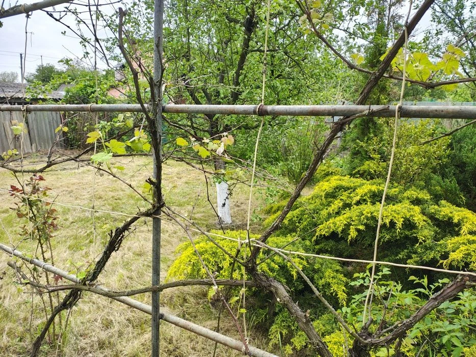 Продам дачу на Ромашковій(Затишний)