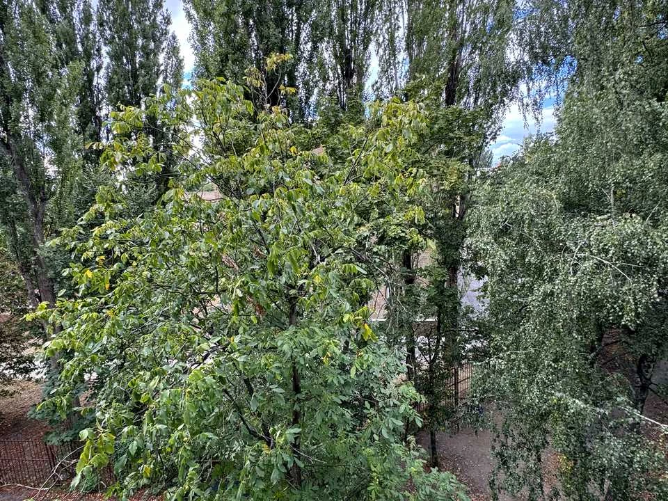 Квартира. Київ, Михайла Донця вул.