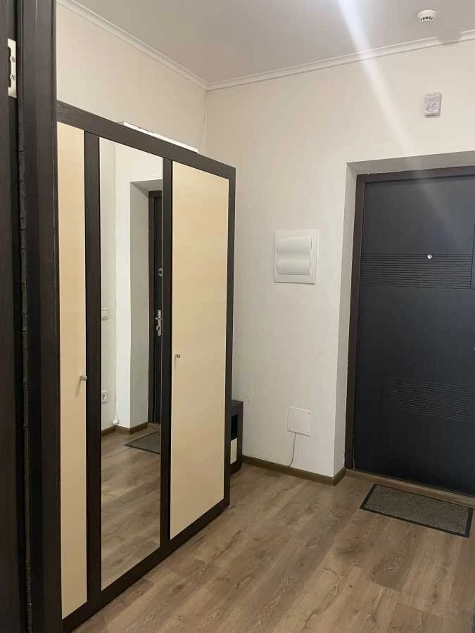 Оренда 1-кімнатної квартири 30 м², Петра Калнишевського вул.