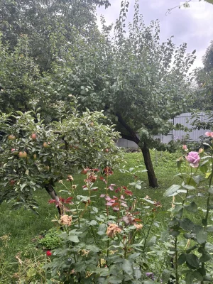 Продаж Дім П'ятничани