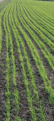 Продам агропідприємство Полтавська  область