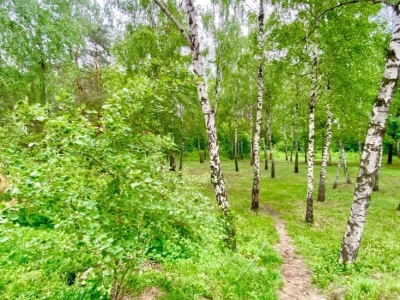 ID 368. ДВРЗ, метро Чернігівська, вул. Алматинська, 41А, Дар