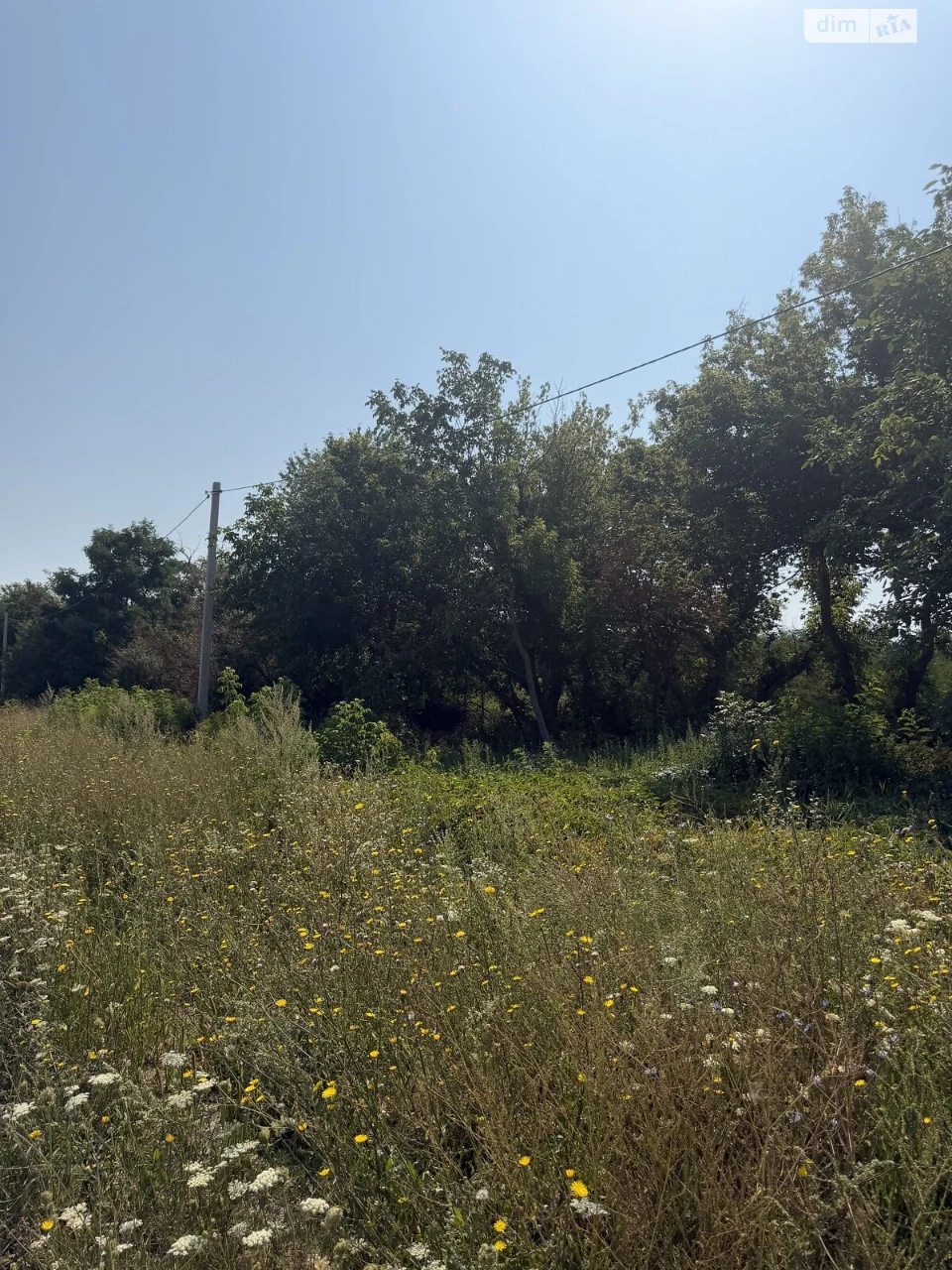 Продаж Земля сільськогосподарського призначення