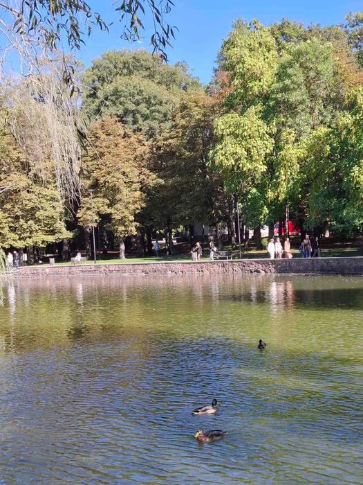 Продаю 1 кімнатну квартиру біля Парку та Озера.Вулиця Мазепи