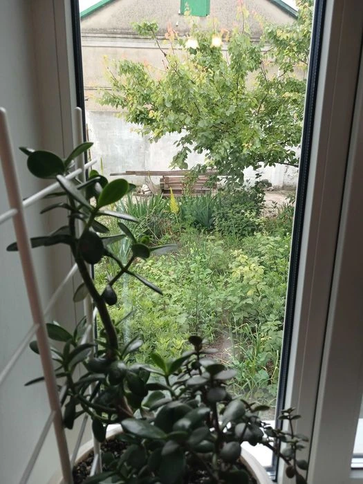Дом по цене квартиры в зоне Куяльника