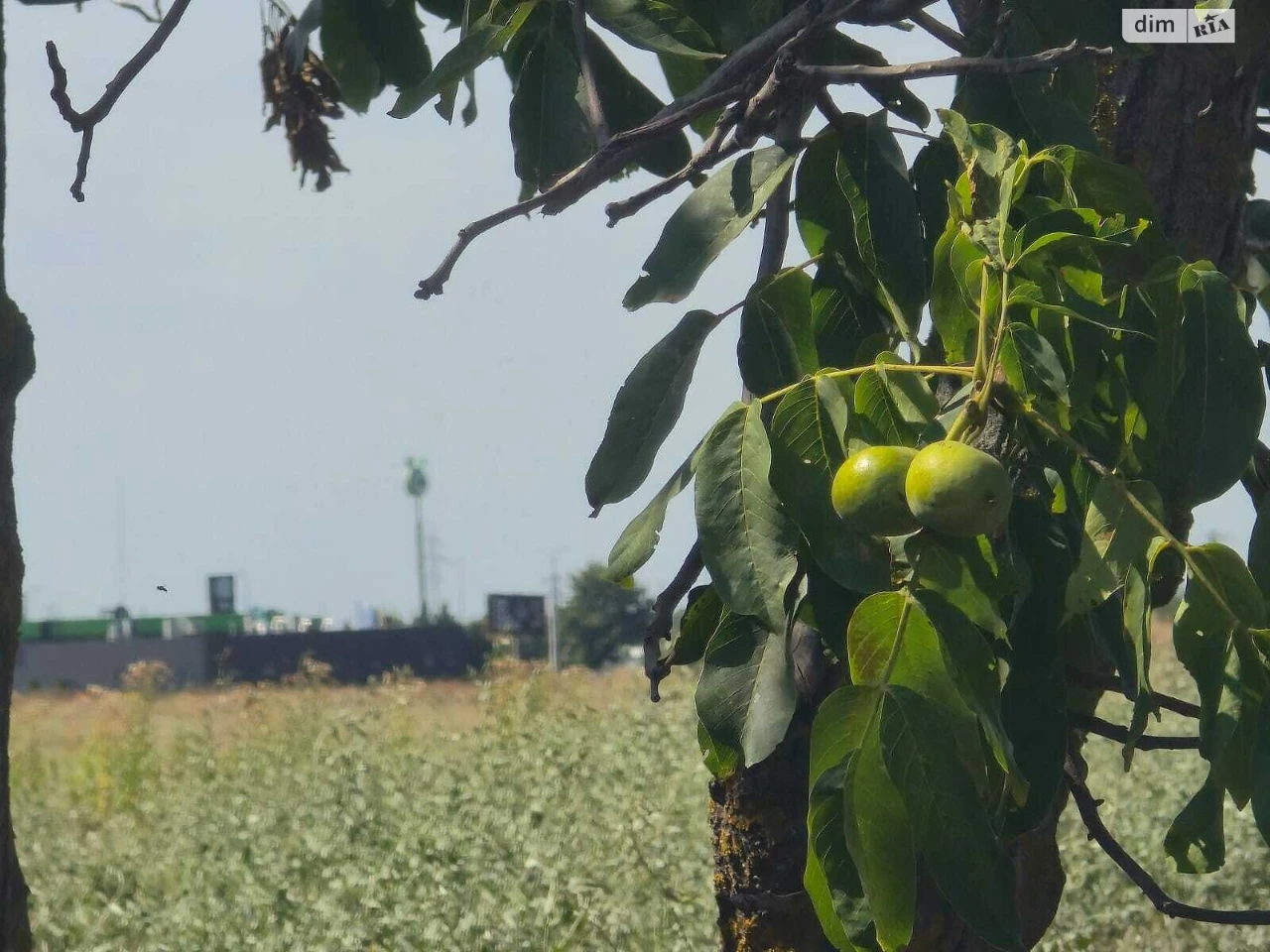 Продаж Ділянка під житлову забудову Лєнпоселище