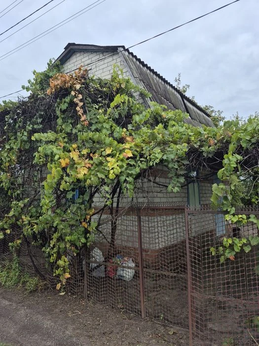 Продам дачу в Чернігові, район обласної лікарні