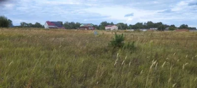 Земельна ділянка