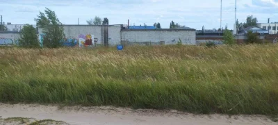 Земельна ділянка
