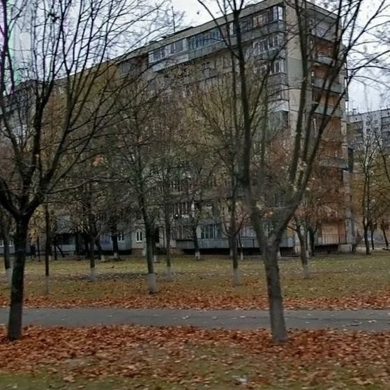 Оренда 1-кімнатної квартири 25 м², Космонавта Волкова вул.,