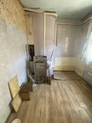 ВЛАСНИК! Продам будинок , літня кухня, гараж + 10 соток родю