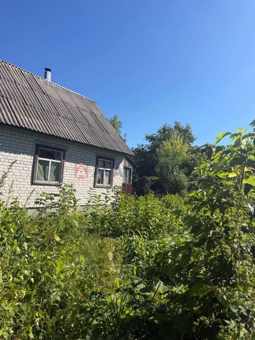 Продаємо дачу в селі Лозівок, кооператив «Дружба».