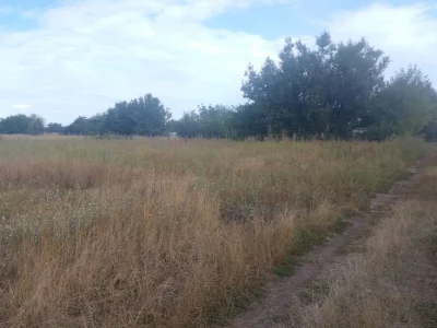 Земельна ділянка 10 сот., кооп."Черкаський"