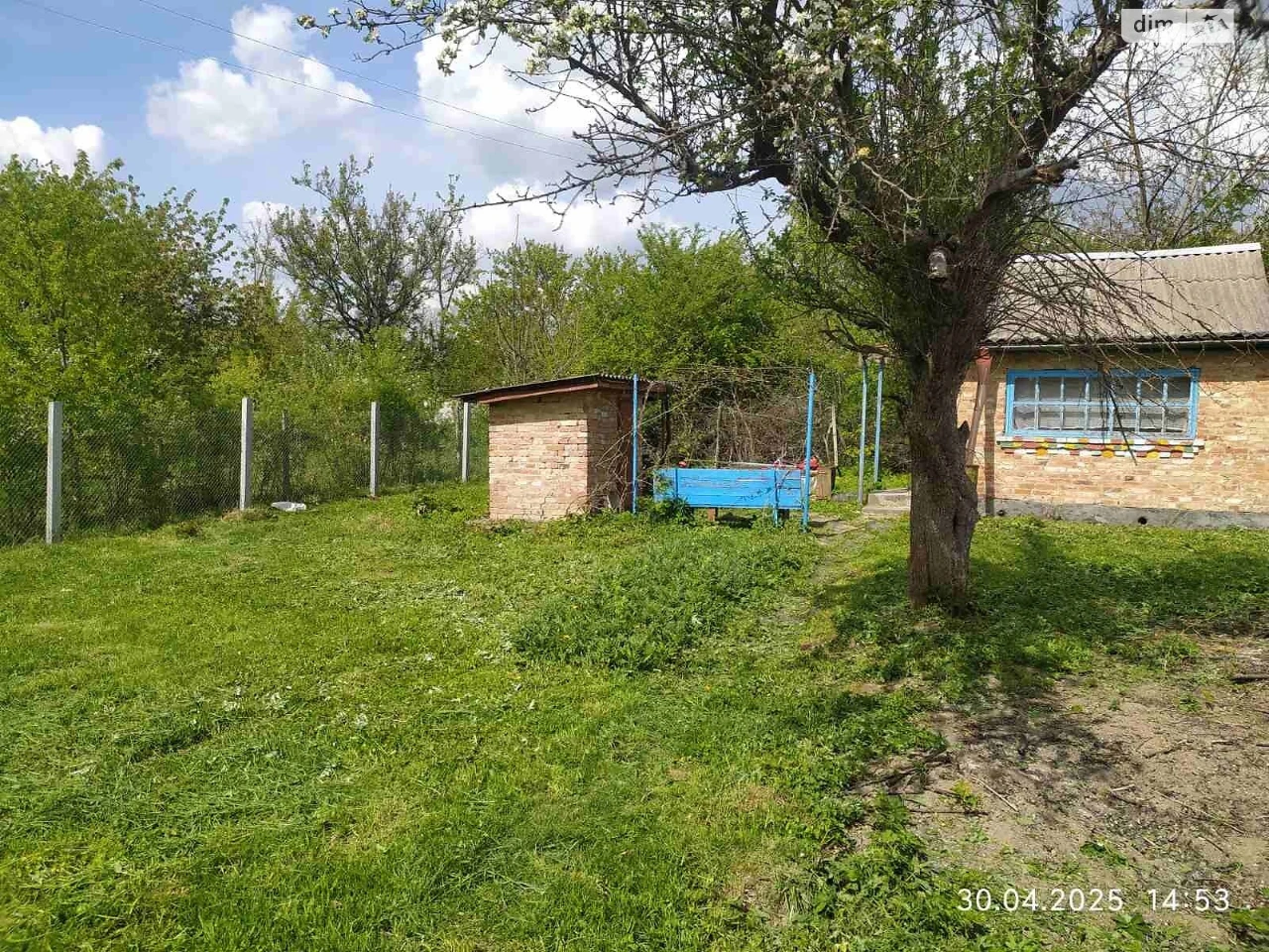 Продаж Земля сільськогосподарського призначення Ленінський
