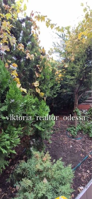 FOR FREE‼️home for life‼️Fontan-Chubaevka‼️200m²-4 acres‼️remains