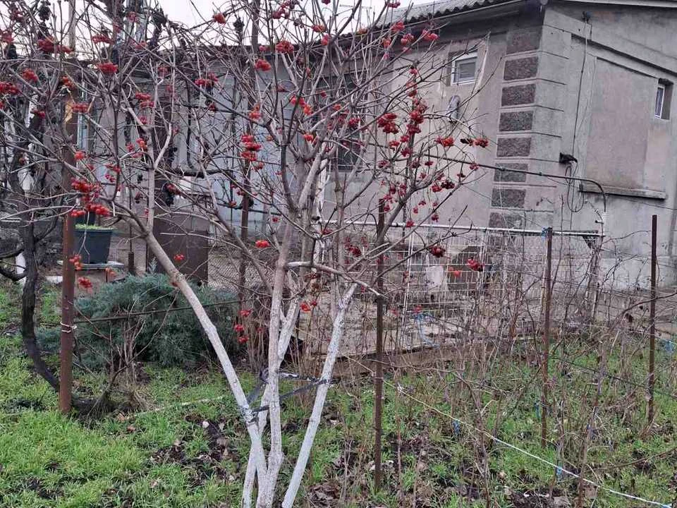Будинок. Одеса, Четверта вул.