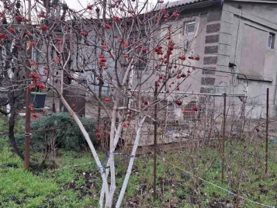 Будинок. Одеса, Четверта вул.