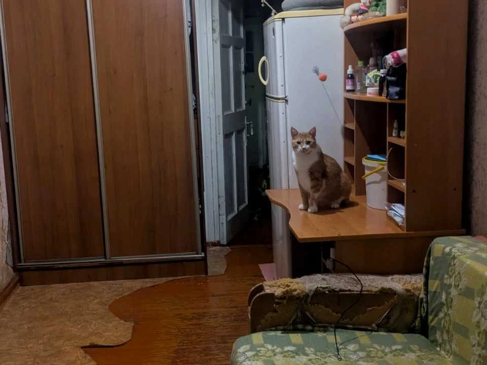 Квартира. Одеса, Адміральський просп. (Патріса Лумумби)