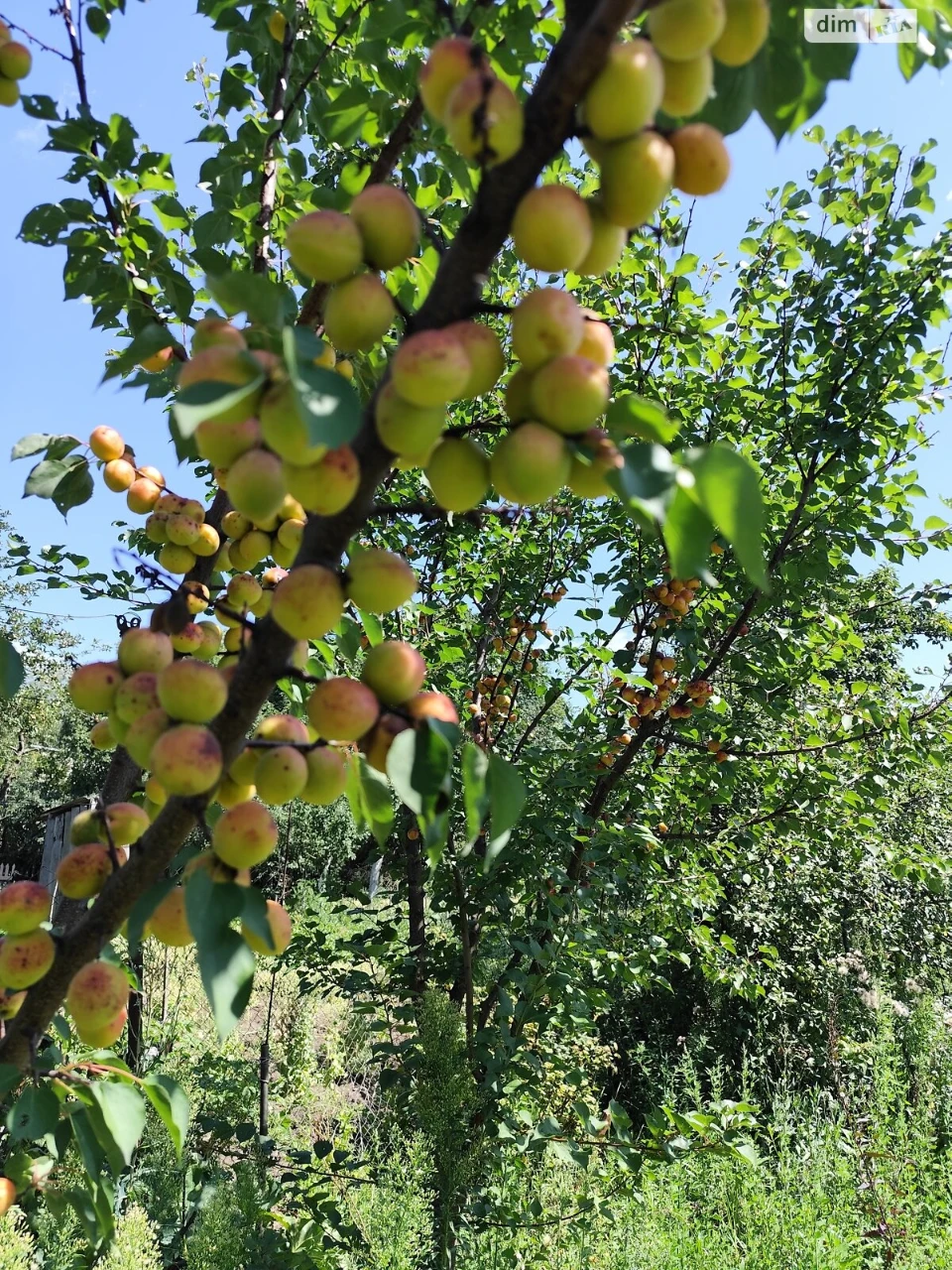 Продаж Ділянка під житлову забудову