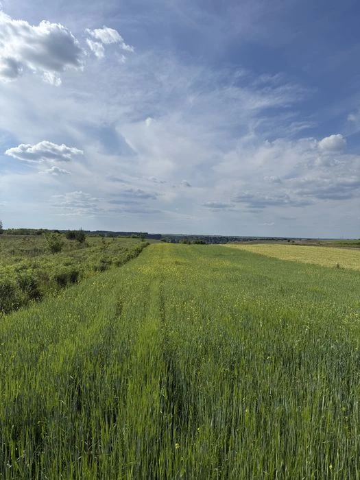 Продаж земельної ділянки поблизу Авторинку