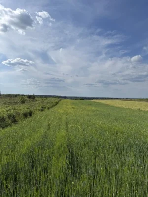 Продаж земельної ділянки поблизу Авторинку