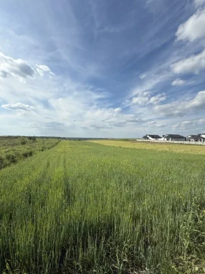 Продаж земельної ділянки поблизу Авторинку