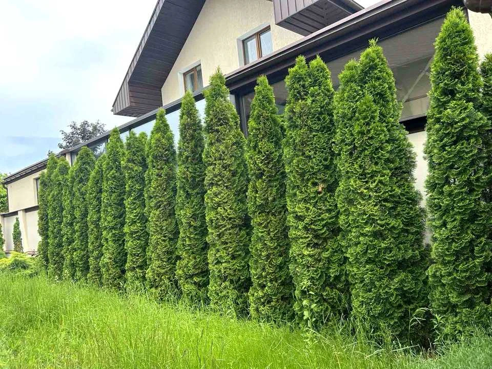 Будинок. Харків, Вишневий пров.