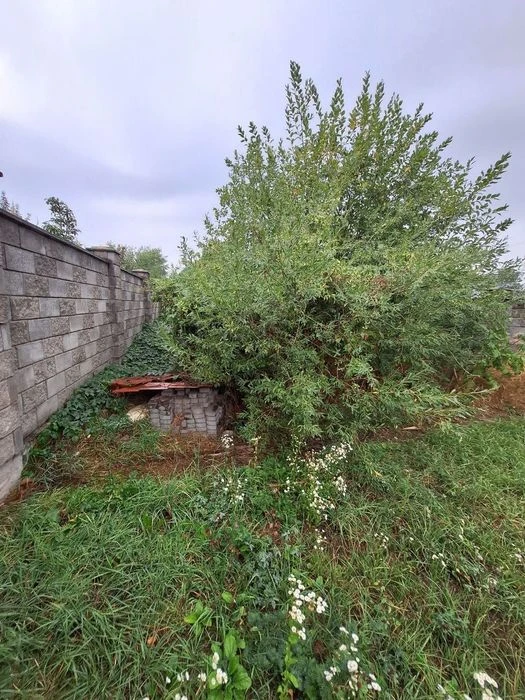 Продаж зем.-діл 8 сот., в. Старознесенська