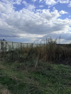 Продаж Земля сільськогосподарського призначення Ленінський