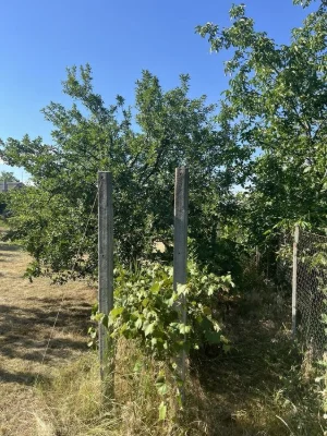 Землю в Краснополье