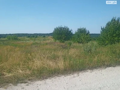 Продаж Земля сільськогосподарського призначення