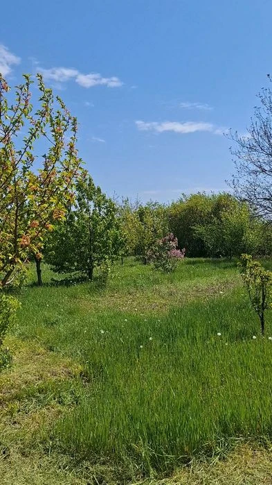 Продам земельну ділянку