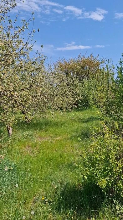Продам земельну ділянку